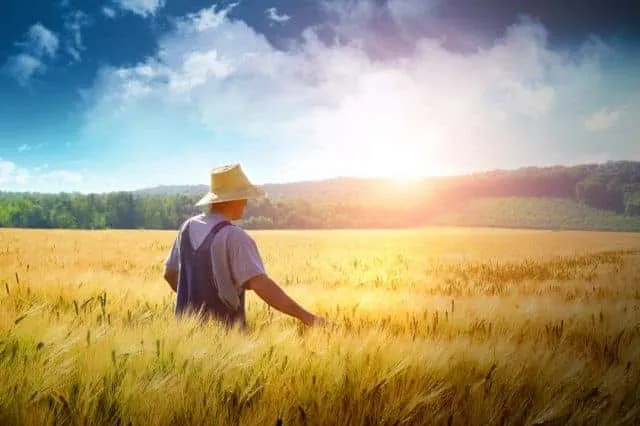 Ви зараз переглядаєте Українці не поспішають продавати свої сільгоспземлі