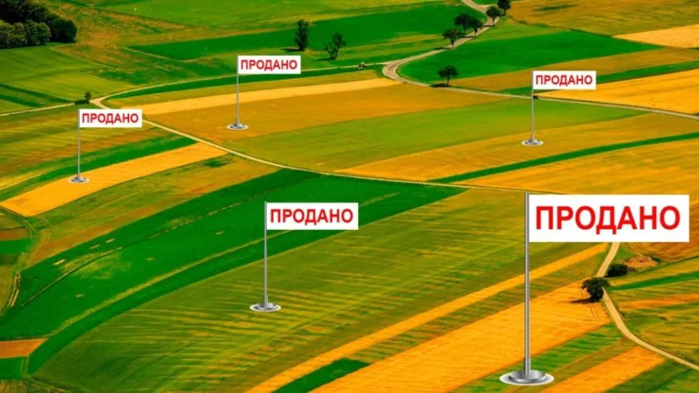 Ви зараз переглядаєте Стало відомо, як відкриття ринку земель для юросіб вплинуло на агросектор