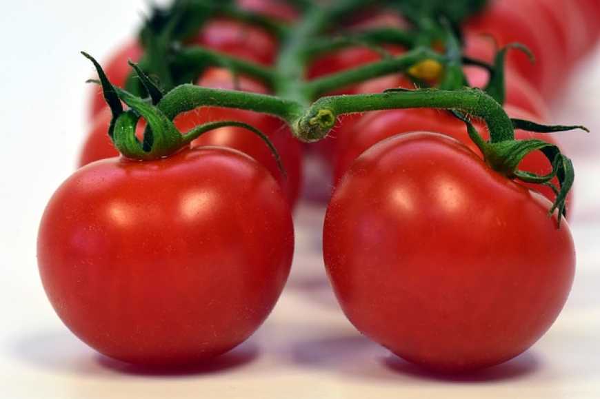 Ви зараз переглядаєте Ціни на помідори в Україні знизились на 18%