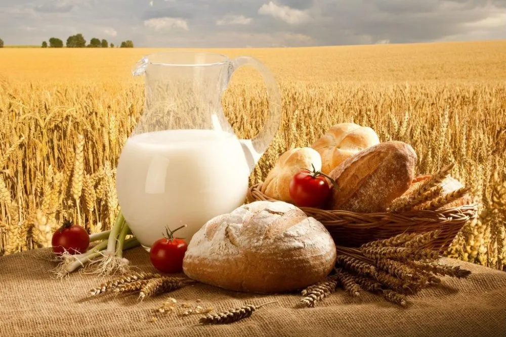 Ви зараз переглядаєте Україна увійшла в трійку лідерів з експорту органічної продукції до ЄС