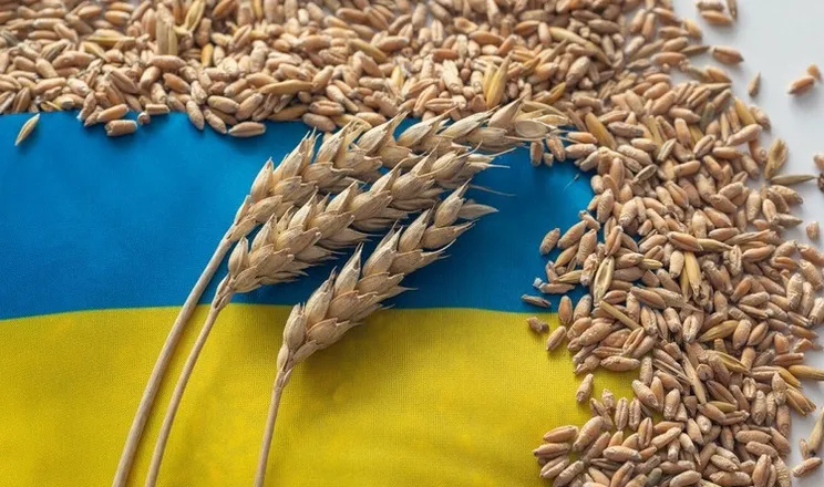 Ви зараз переглядаєте У портах України продовжує дешевшати фуражна пшениця