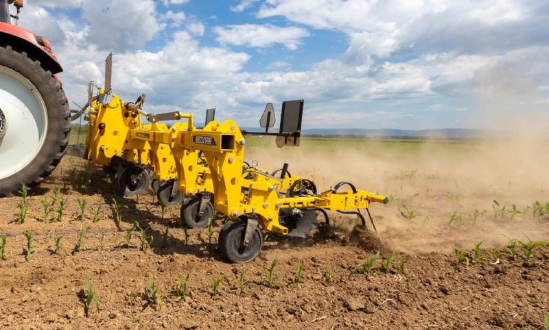 Ви зараз переглядаєте Міжрядна культивація без пошкодження культурних росли: досвід господарства з Харківщини