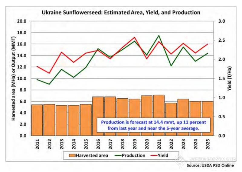 Площі, валовий збір та урожайність соняшнику в Україні за 2011-2025 (прогноз)  роки: дані USDA