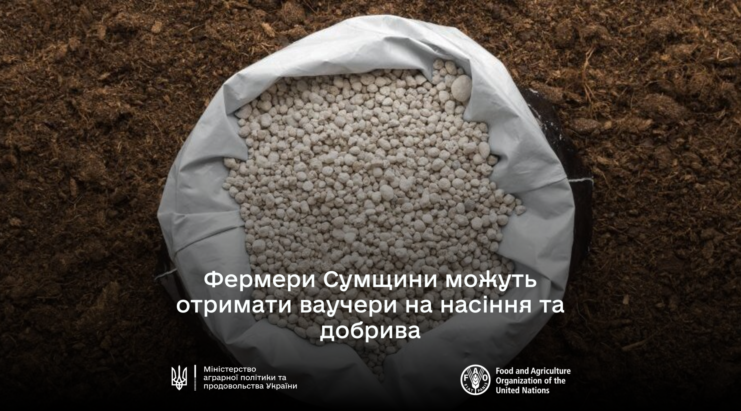 Ви зараз переглядаєте Ваучери на насіння і добрива: стартувала нова програма підтримки фермерів Сумщини