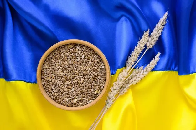 Ви зараз переглядаєте Україна від початку сезону експортувала 40 млн т зерна