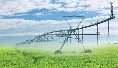 Ви зараз переглядаєте HarvEast збільшив зрошувані площі на Київщині до 1 тис. га