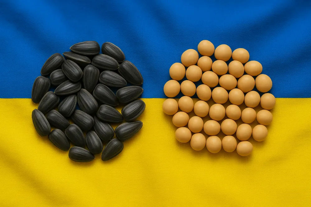 Ви зараз переглядаєте В Україні можуть ввести 10% експортне мито на ріпак та сою