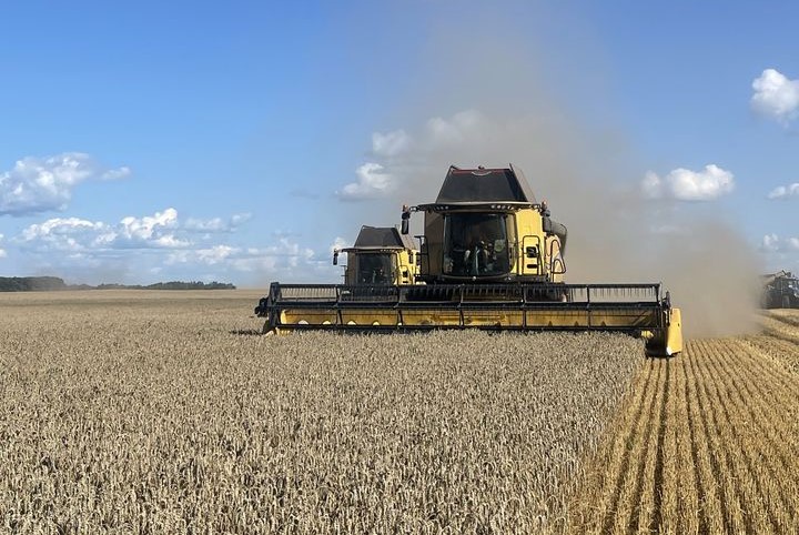 Ви зараз переглядаєте Агрохолдинг Tekom Agro Group розпочав жнива озимої пшениці