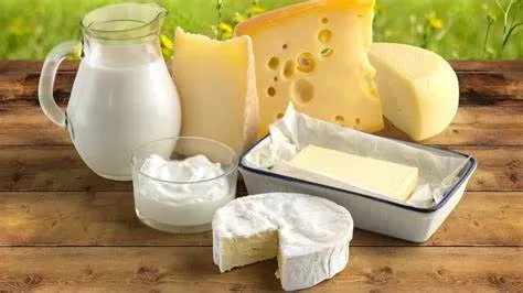 Ви зараз переглядаєте Україна наростила експорт молочних продуктів в травні