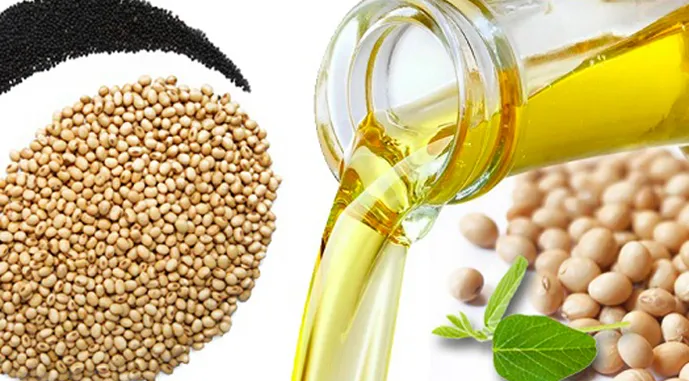 Ви зараз переглядаєте У ЄС погіршили прогноз урожаю олійних культур