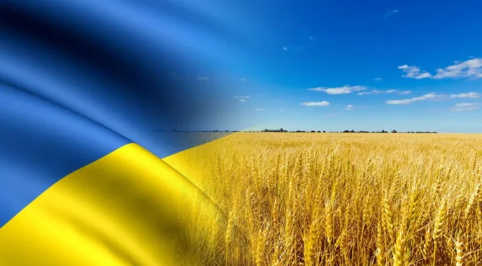 Ви зараз переглядаєте Оприлюднено аналіз ринку зернових і олійних культур в Україні за травень