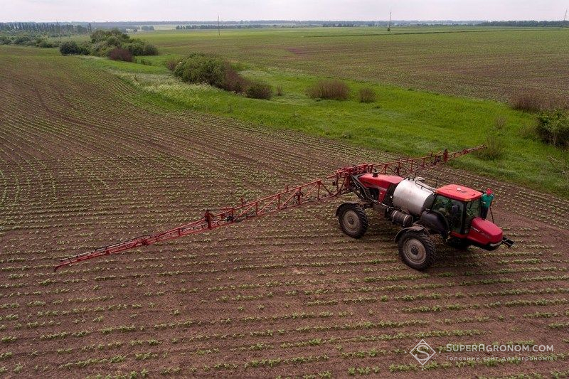 Ви зараз переглядаєте На соняшнику спостерігаються перші прояви пероноспорозу