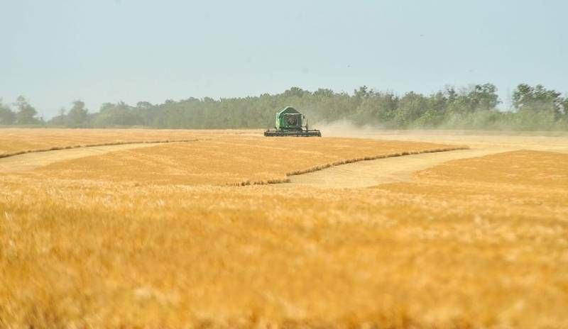 Ви зараз переглядаєте Tekom Agro Group розпочала збирання ранніх зернових: вологість зерна 13%