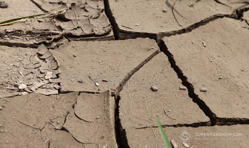 Ви зараз переглядаєте Втрати врожаю через посуху очікують всю Північну півкулю, в тому числі США та Азію