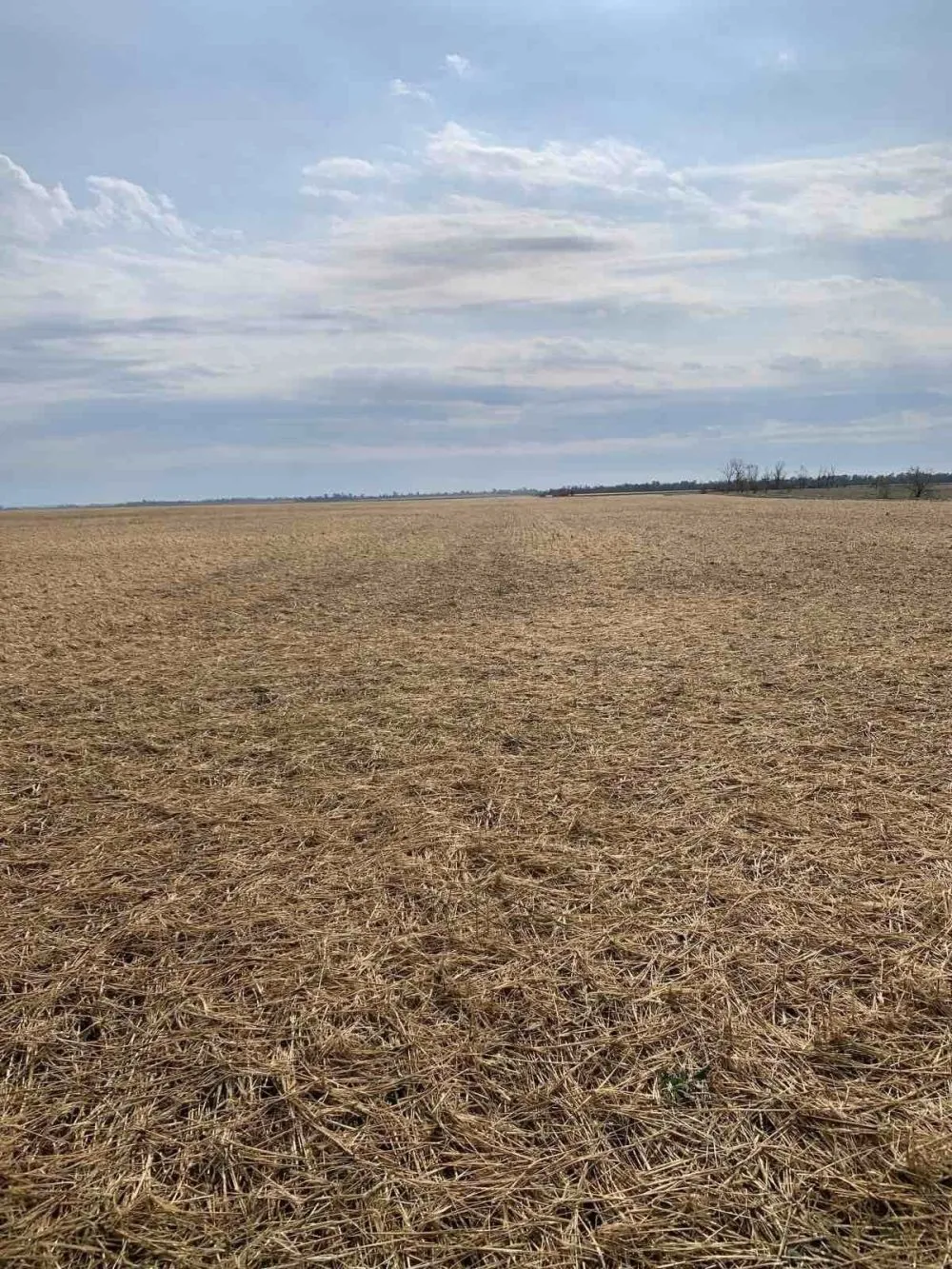 На Полтавщині стихія завдала мільйонних збитків аграріям2
