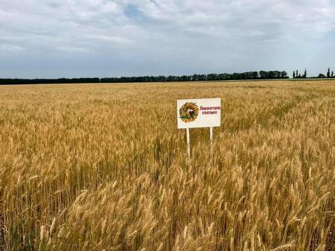 Ви зараз переглядаєте Агробезбар’єрність: Працевлаштування людей з інвалідністю на Ерастівській дослідній станції