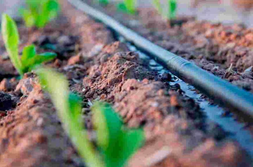 Ви зараз переглядаєте Уряд України розширює підтримку аграріїв, які працюють на зрошуваних землях