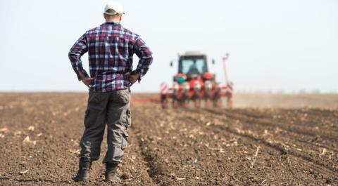 Ви зараз переглядаєте Case IH оновив жатки для Axial-Flow: продуктивність зросла