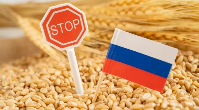 Ви зараз переглядаєте Російська пшениця втратила конкурентість на світовому ринку