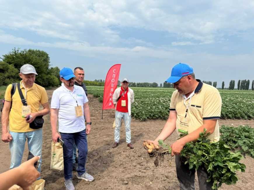 Ви зараз переглядаєте На Київщині відбувся семінар «Вирощування картоплі: насіння, техніка та технології»