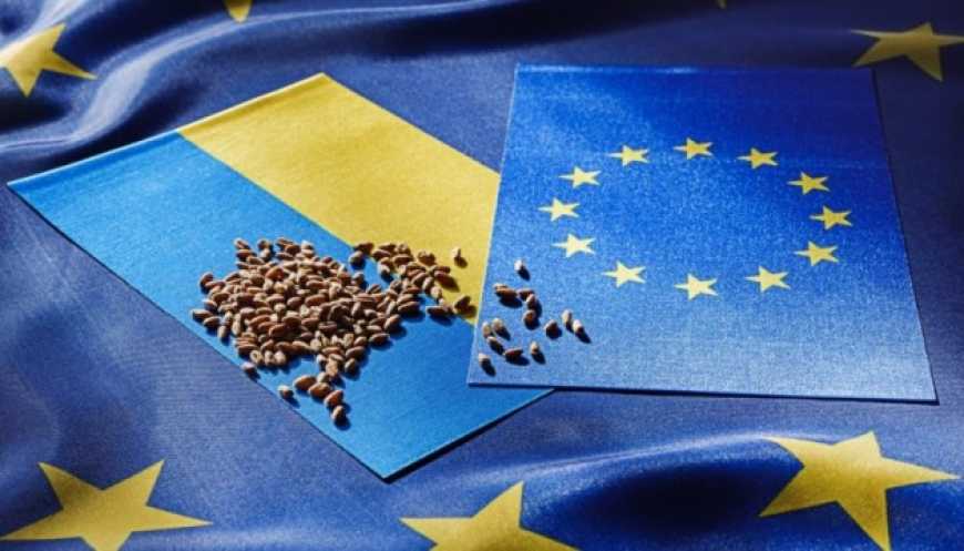 Ви зараз переглядаєте ЄС збільшив квоти на імпорт української агропродукції