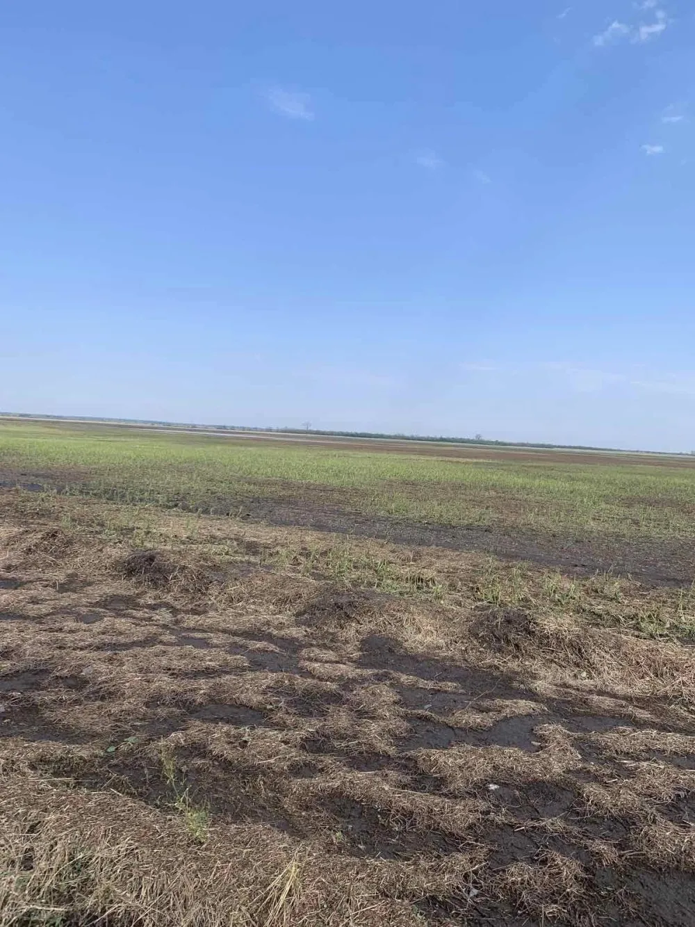 На Полтавщині стихія завдала мільйонних збитків аграріям3