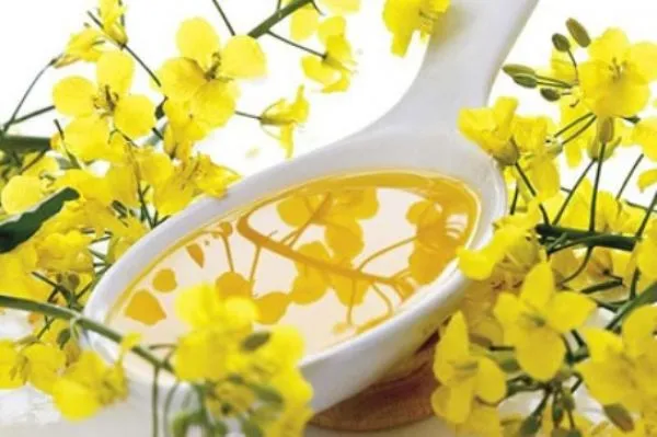 Ви зараз переглядаєте В Україні знизились ціни на ріпак