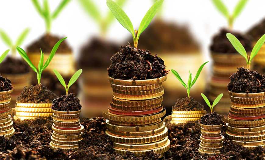 Ви зараз переглядаєте Україна отримала понад 1 млрд грн допомоги для фермерів