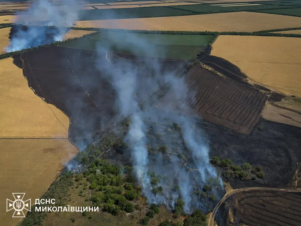 На Миколаївщині понад 520 га зернових знищив вогонь за добу1