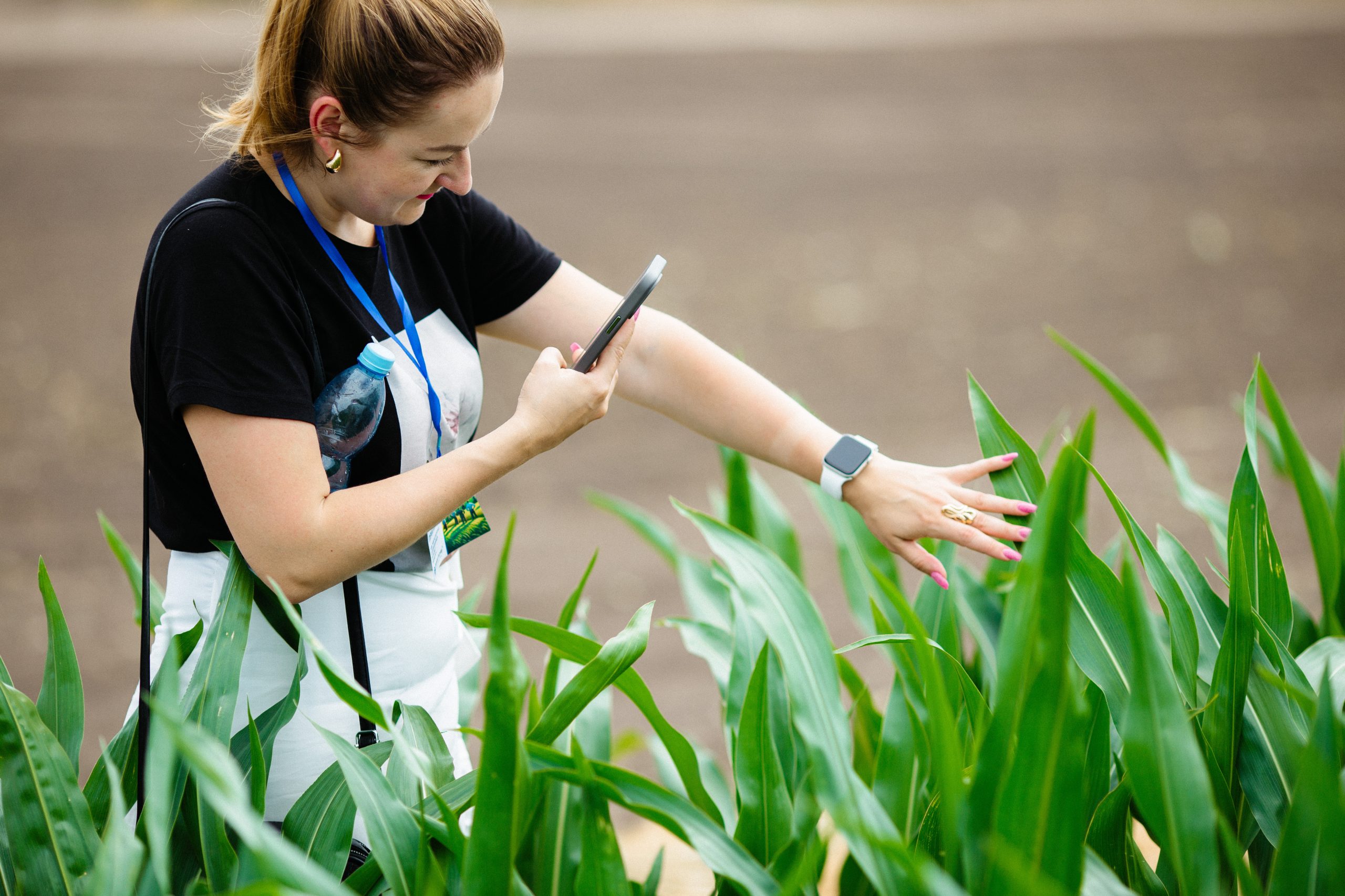 Ви зараз переглядаєте На AgriAcademy вийшли два нові курси з вирощування кукурудзи від експертів «Астарта-Київ»