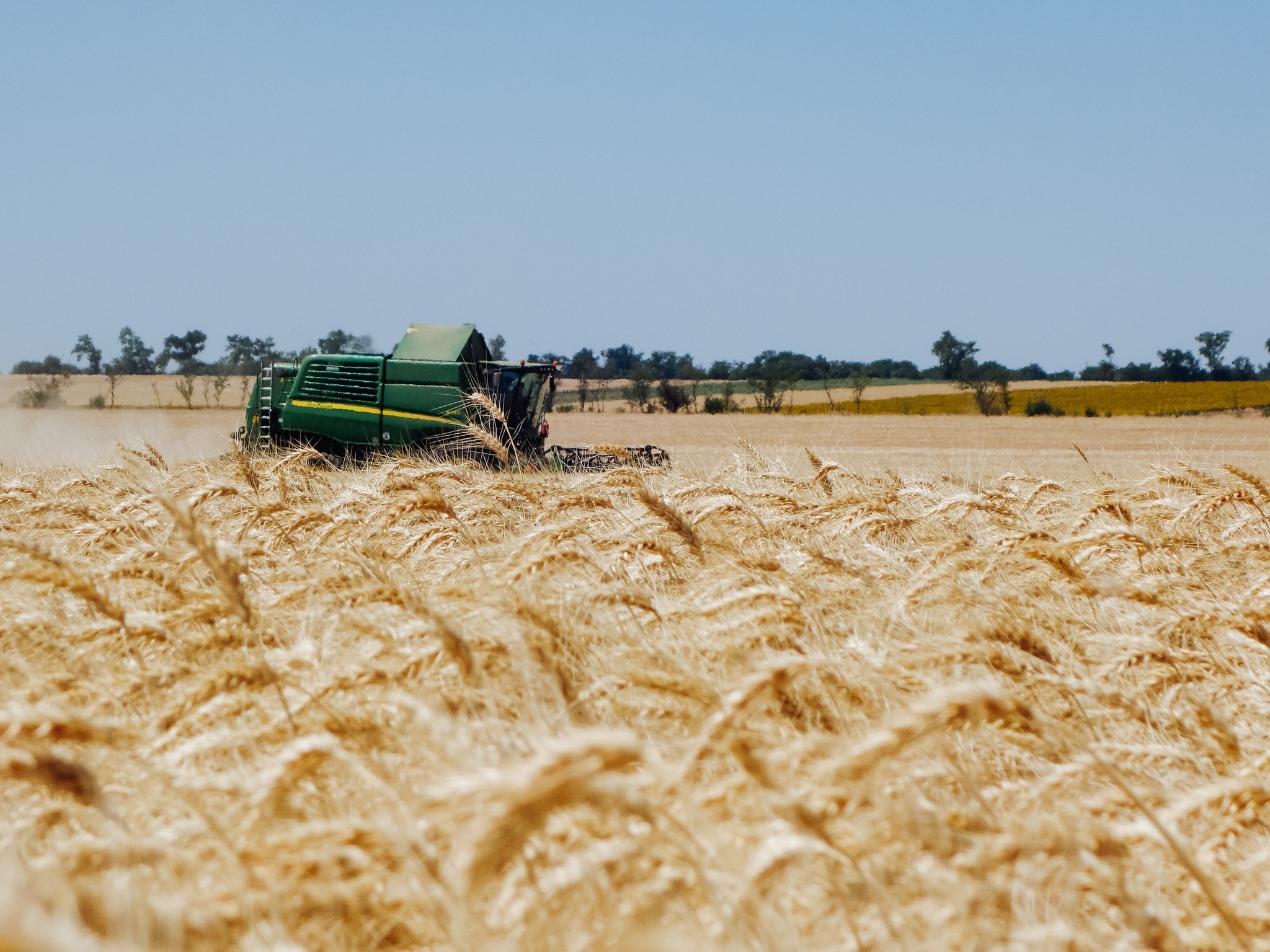 Ви зараз переглядаєте Tekom Agro Group: перша агрофірма завершила жнива ранніх зернових та технічних культур