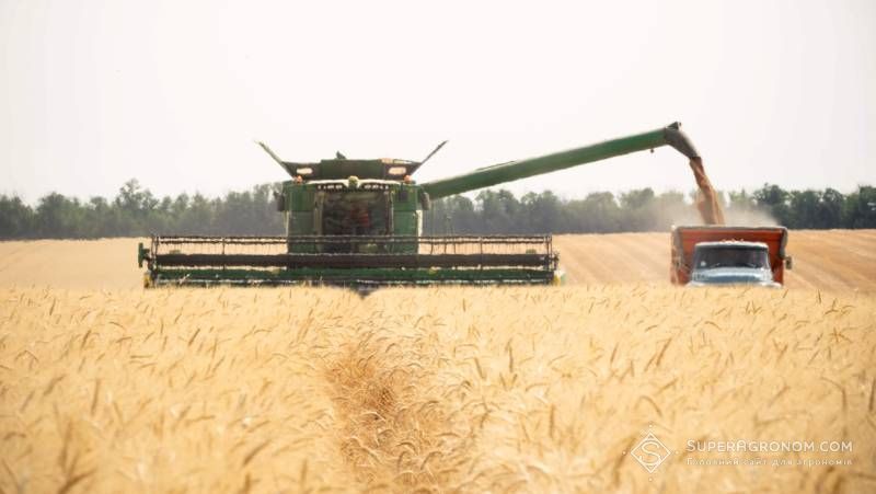 Ви зараз переглядаєте Жнива ранніх культур розпочали Полтавщина та Вінниччина