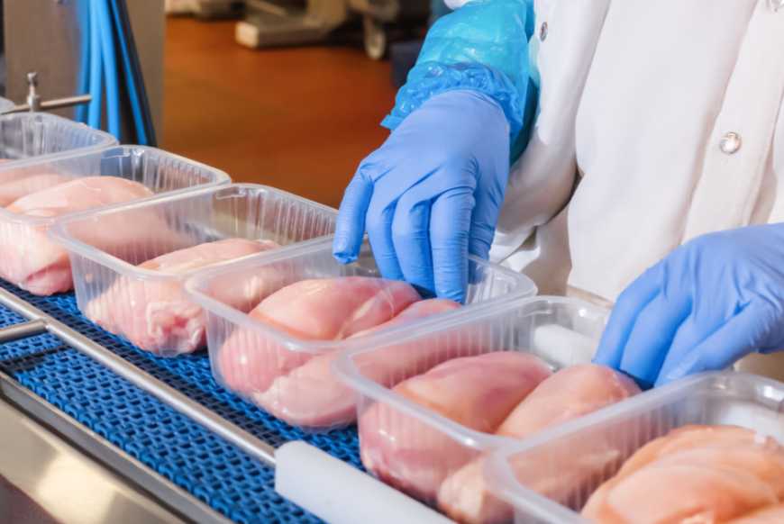 Ви зараз переглядаєте В Україні прогнозують зростання виробництва курятини