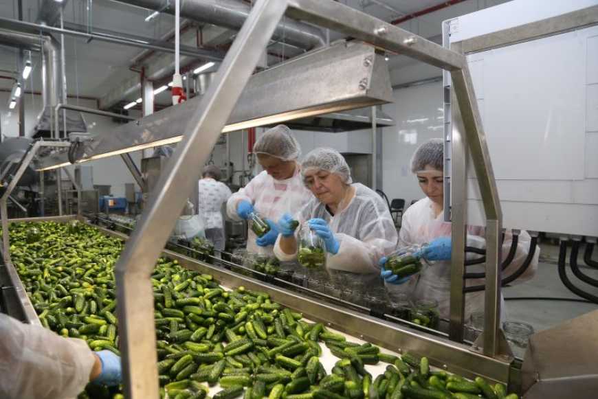 Ви зараз переглядаєте Консервний завод на Тернопільщині планує експортувати продукцію до країн Балтії та Ізраїлю