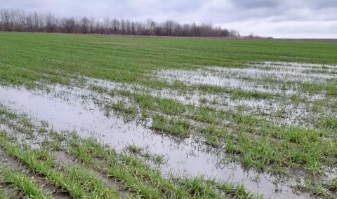 Ви зараз переглядаєте Агроном розповів, як у господарстві розробляють ділянки з вимочками – так звані блюдця