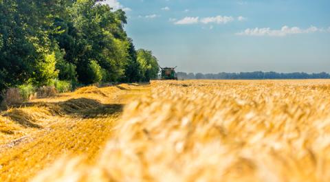 Ви зараз переглядаєте Понад чотири мільйони гривень надійшло до бюджету за адміністративні послуги, надані землевпорядниками Одещини з початку 2025 року