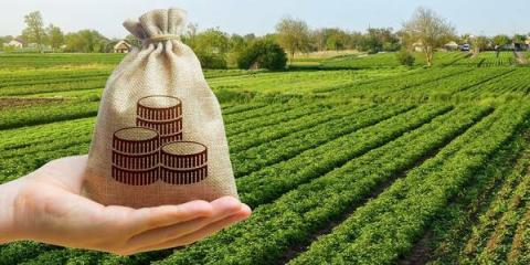 Ви зараз переглядаєте Верховний суд звільнив фермерів від орендної плати за землі в зоні бойових дій