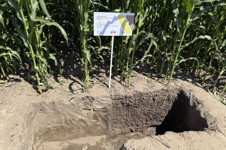 Ви зараз переглядаєте Кукурудза за Strip-till технологією: реальні результати та перспективи