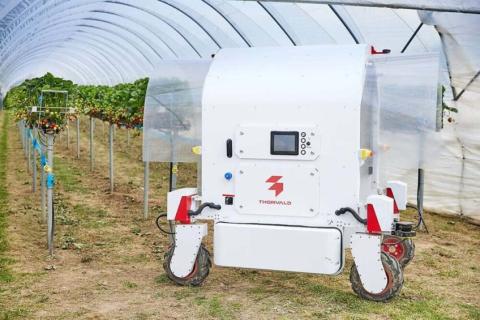 Ви зараз переглядаєте Saga Robotics залучила 8,4 млн фунтів стерлінгів для прискорення комерційного запуску Thorvald