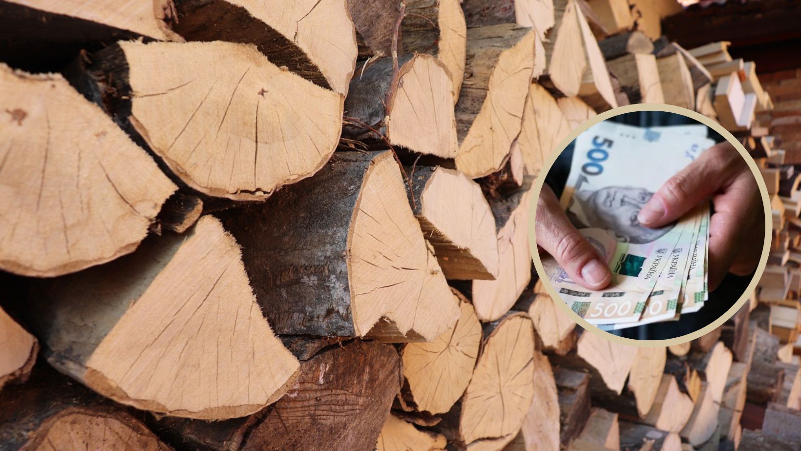 Ви зараз переглядаєте Стало відомо, кому держава виділить гроші на дрова