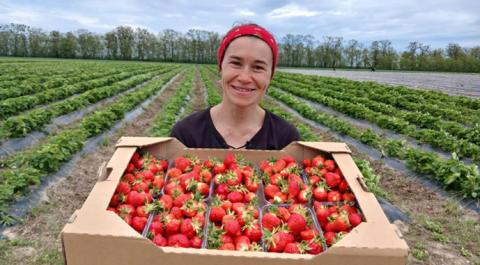 Ви зараз переглядаєте Фермерка з Київщини за грант запустила лінію для заморожування ягід
