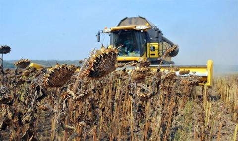 Ви зараз переглядаєте Жнива у розпалі: аграрії вже збирають соняшник та сою