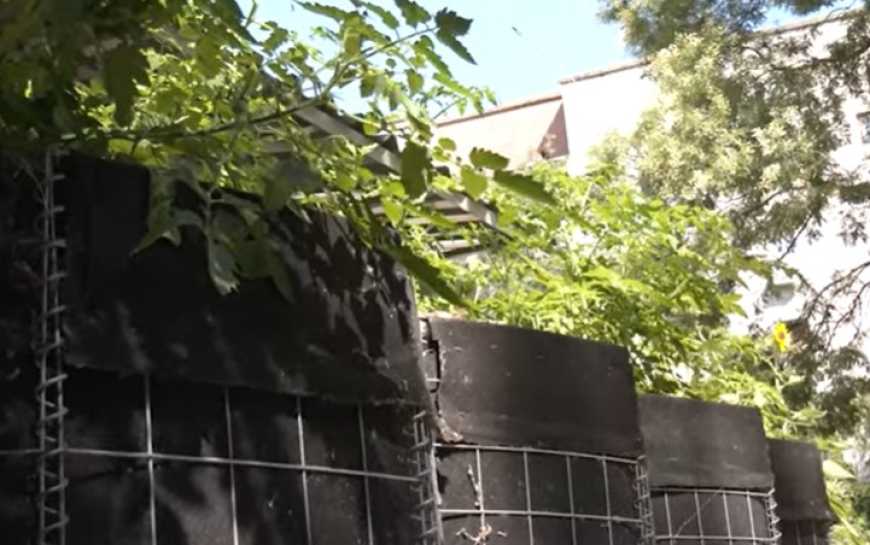 Ви зараз переглядаєте Мешканці Херсона вирощують городину на габіонах