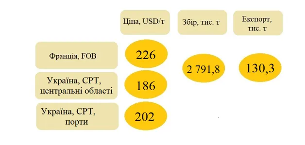 ЗЕРНОВІ КУЛЬТУРИ УКРАЇНИ: ВАРТІСТЬ І ЛОГІСТИКА3