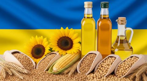 Ви зараз переглядаєте Україна зацікавлена у збільшенні експорту зерна та соняшникової олії до Єгипту