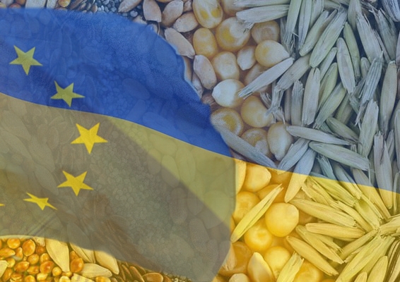 Ви зараз переглядаєте У ЄС планують збільшити квоти на експорт української агропродукції