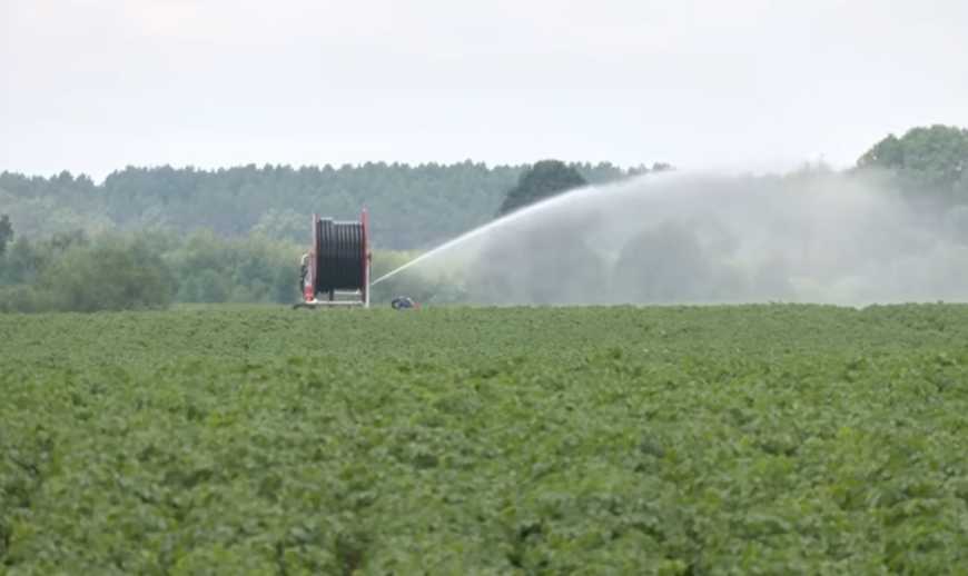 Ви зараз переглядаєте На Рівненщині запровадили полив великих насаджень картоплі шляхом дощування