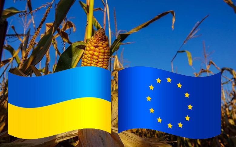 Ви зараз переглядаєте За пів року оборот торгівлі агропродукцією між Україною та ЄС склав $7,6 млрд