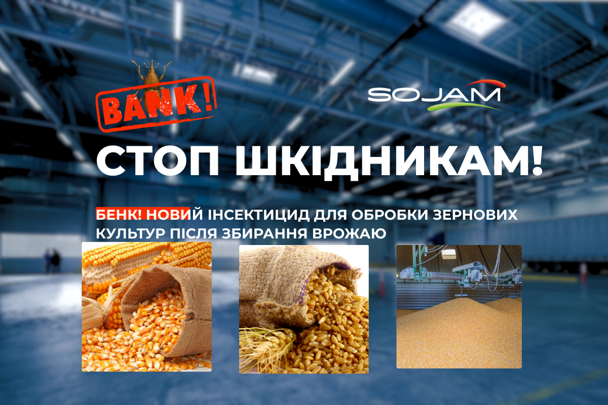 Ви зараз переглядаєте Інсектицид «БЕНК» від Sojam: інноваційний підхід до захисту зерна при зберіганні