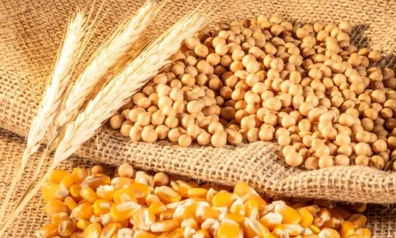 Ви зараз переглядаєте В Україні скоротилось виробництво агропродукції